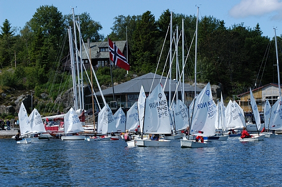 Pinseleiren 2011
